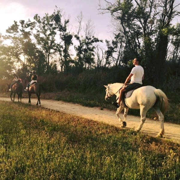 Equestrian Events and Competitions at Horses Riviera Resort